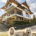 Проживание в семье Golasowka *