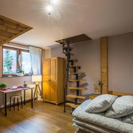 Golasowka موشينا