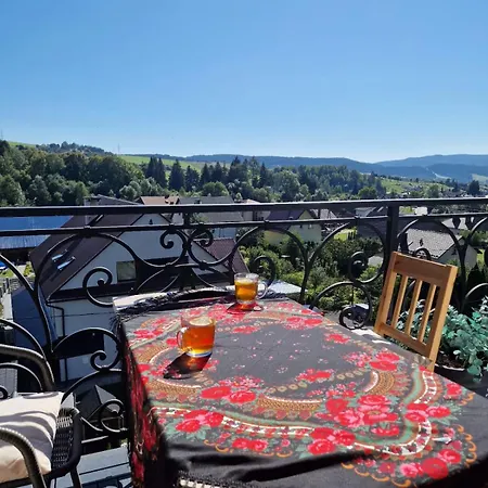 Golasowka منزل للإقامة موشينا