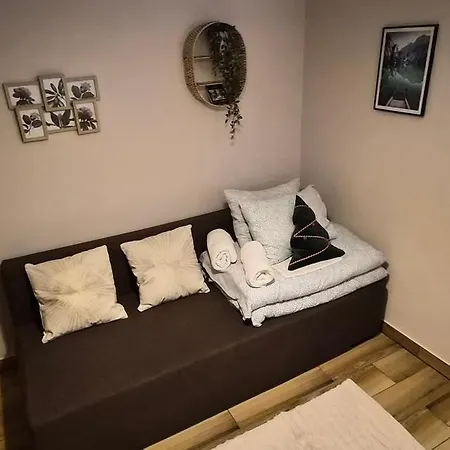 홈스테이 Golasowka