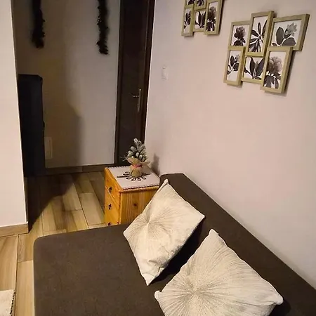 홈스테이 Golasowka